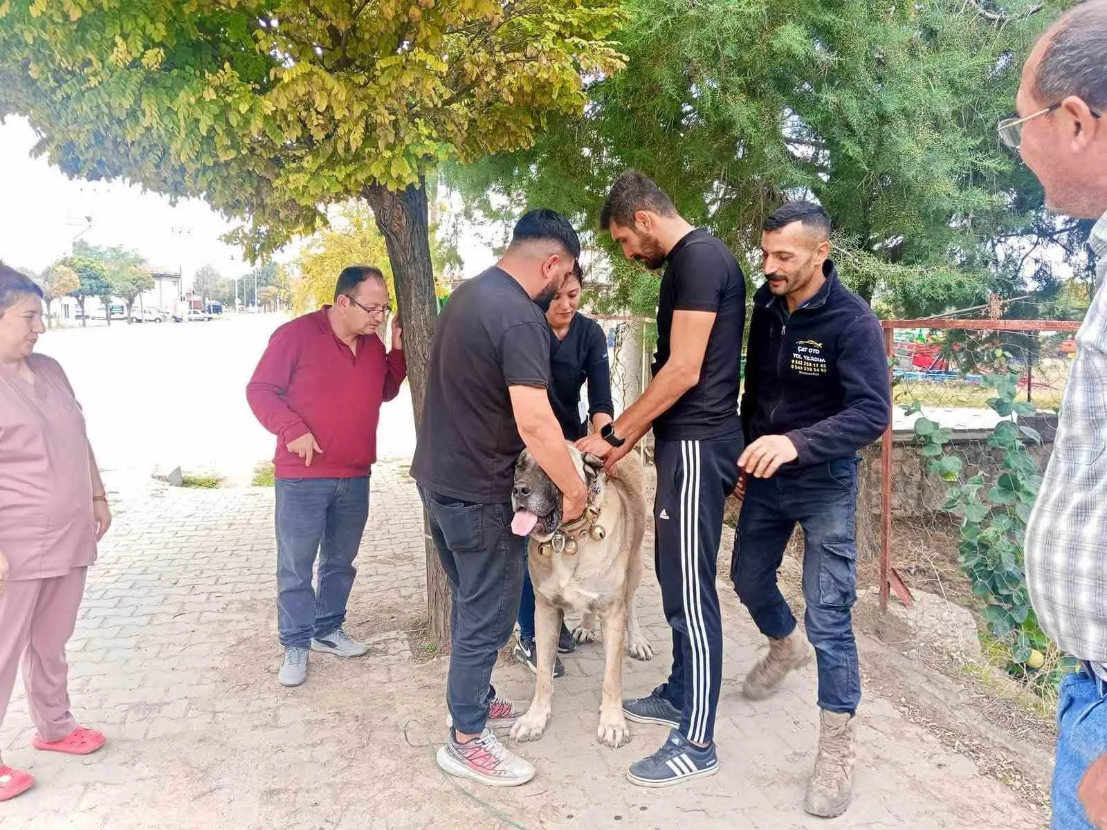 Başmakçı’da patili dostlara dijital kimlik dönemi