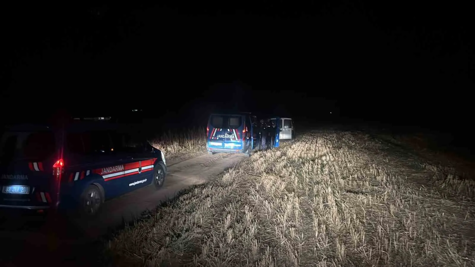 Tarlada hasat mesaisi hırsızlıkla bölündü: Jandarma suçüstü yakaladı