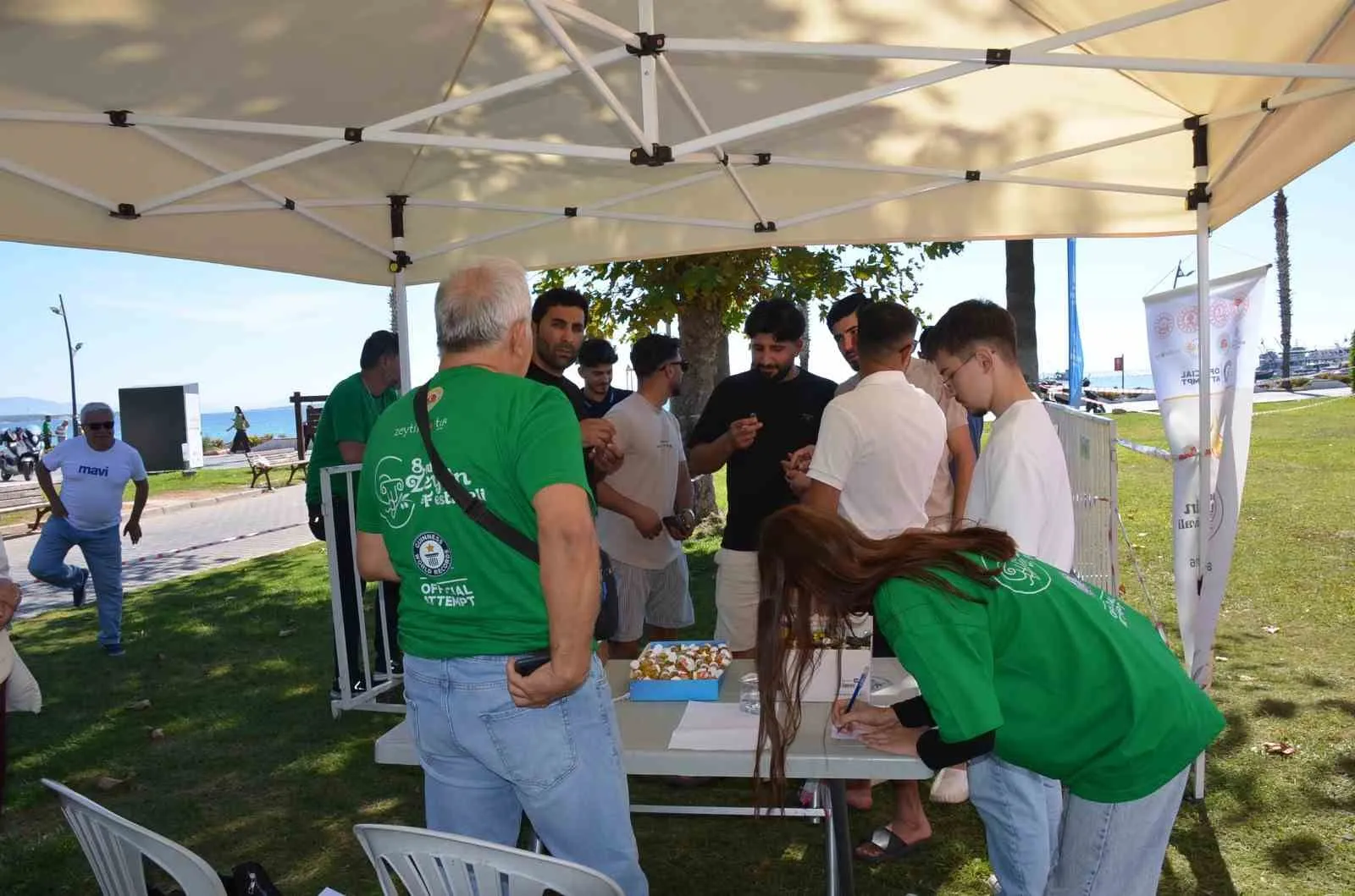 Didim’de zeytin bereketi festivalle taçlandı: Dünya rekoru için geri sayım başladı