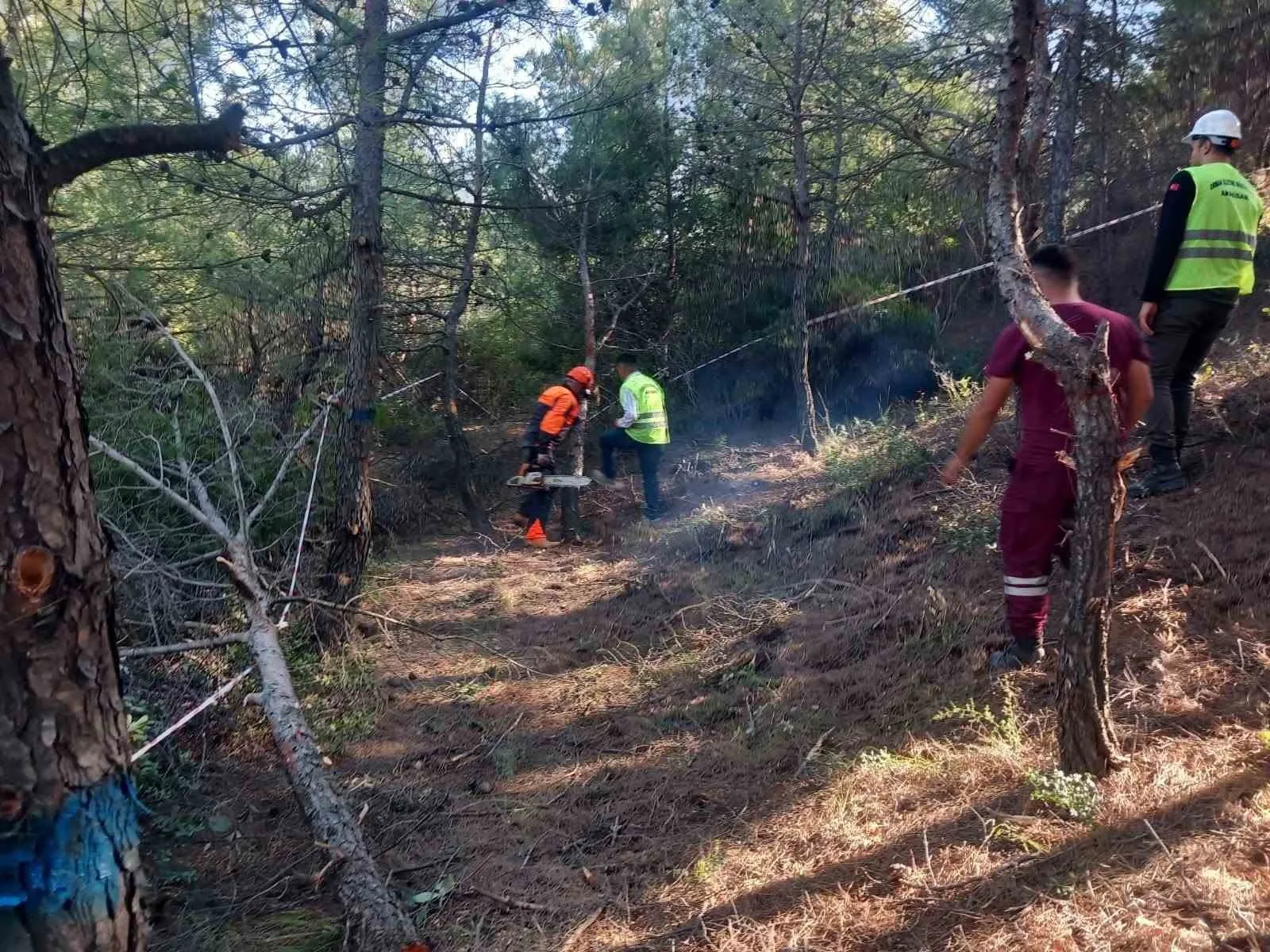 Akhisar ormanlarında uzman dokunuşu: Geleceğin yeşil mirası için sahaya indiler