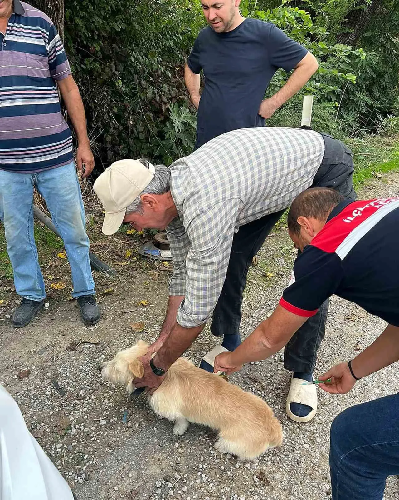 Ortaca’da can dostlar için kritik hamle: Kuduz riskine karşı kalkan oluşturuldu
