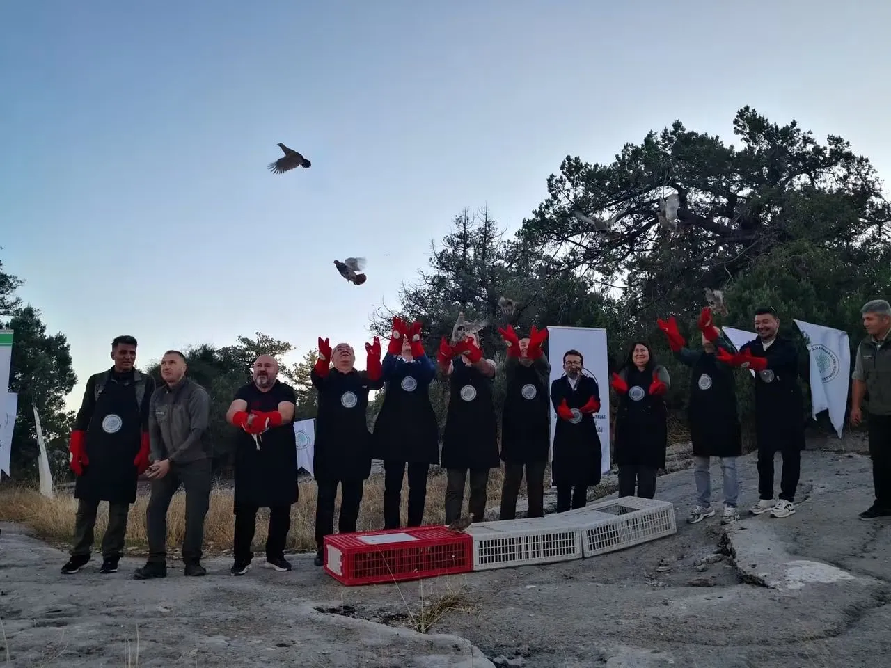 Burdur’un yaban hayatına 200 yeni misafir: Keklikler özgürlüğe kanat çırptı