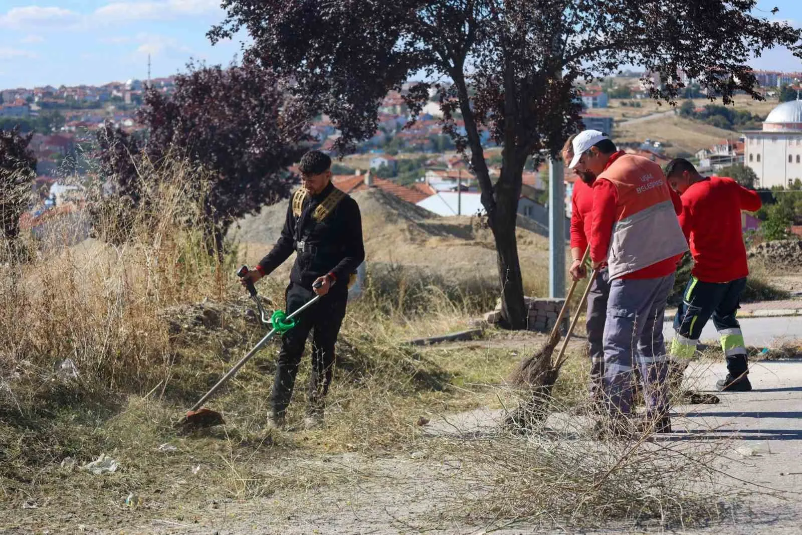 Uşak’ta yaşam kalitesini artıracak seferberlik: Ekipler sahada