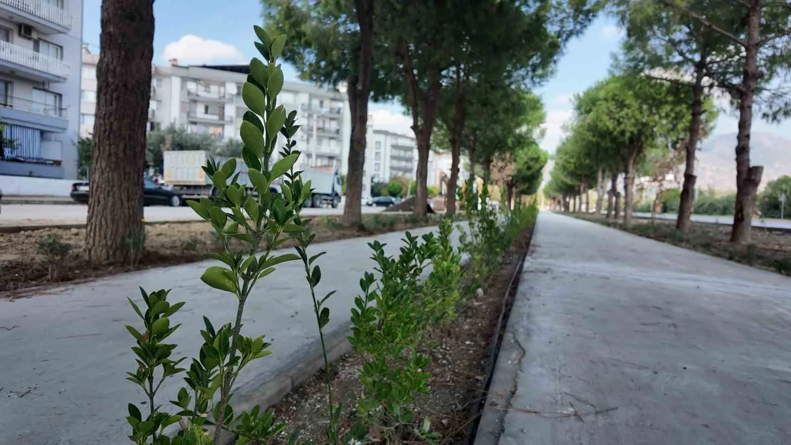 Söke’de hummalı çalışma: Şehrin dört bir yanında değişim rüzgarları esiyor
