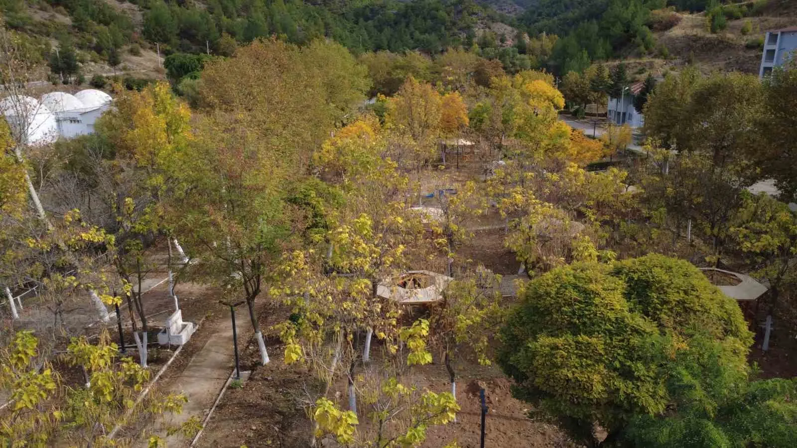 Manisa'nın zirvelerinde sonbahar şöleni: Doğanın renk paleti havadan görüntülendi