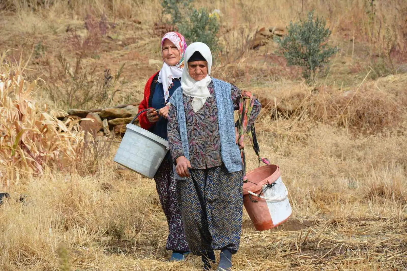 Manisa'nın dağlarından gelen şifa: Kadınların çitlembik mesaisi ekonomiye can veriyor