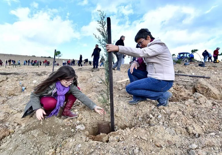İzmir’de moloz yığınları yeşil ormanlara dönüşüyor: Doğaya ihanete dijital kalkan