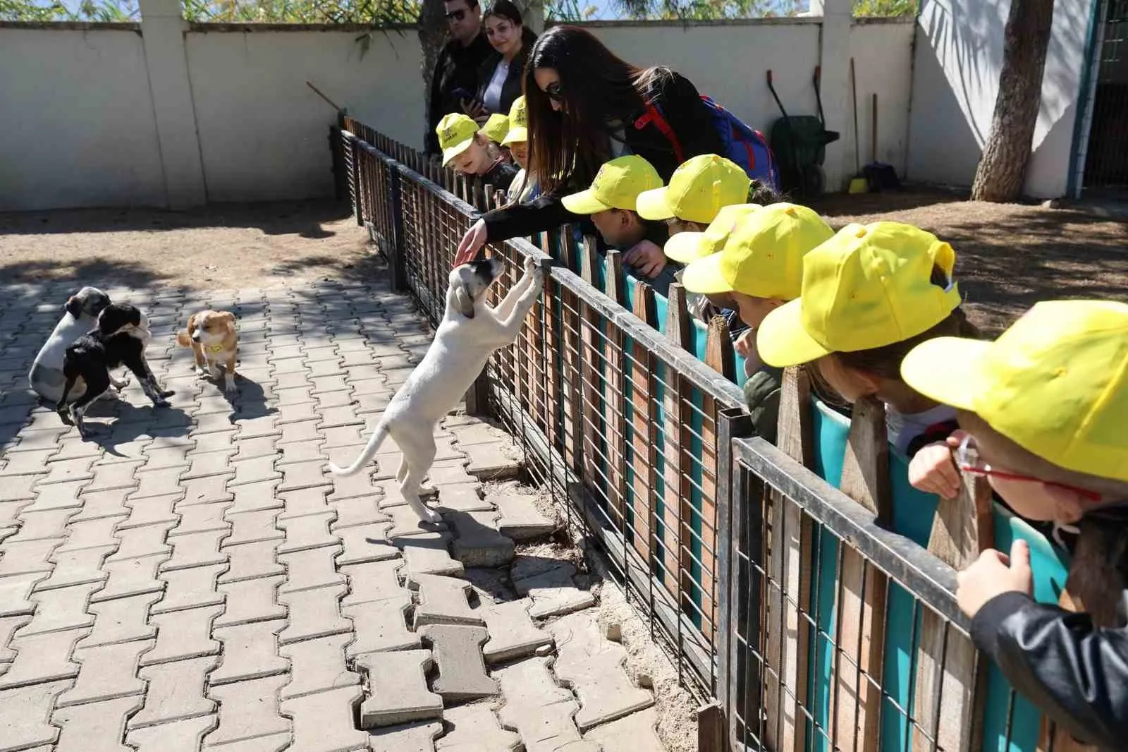 Miniklerden anlamlı ziyaret: Şanslı Patiler’de sevgi dolu anlar