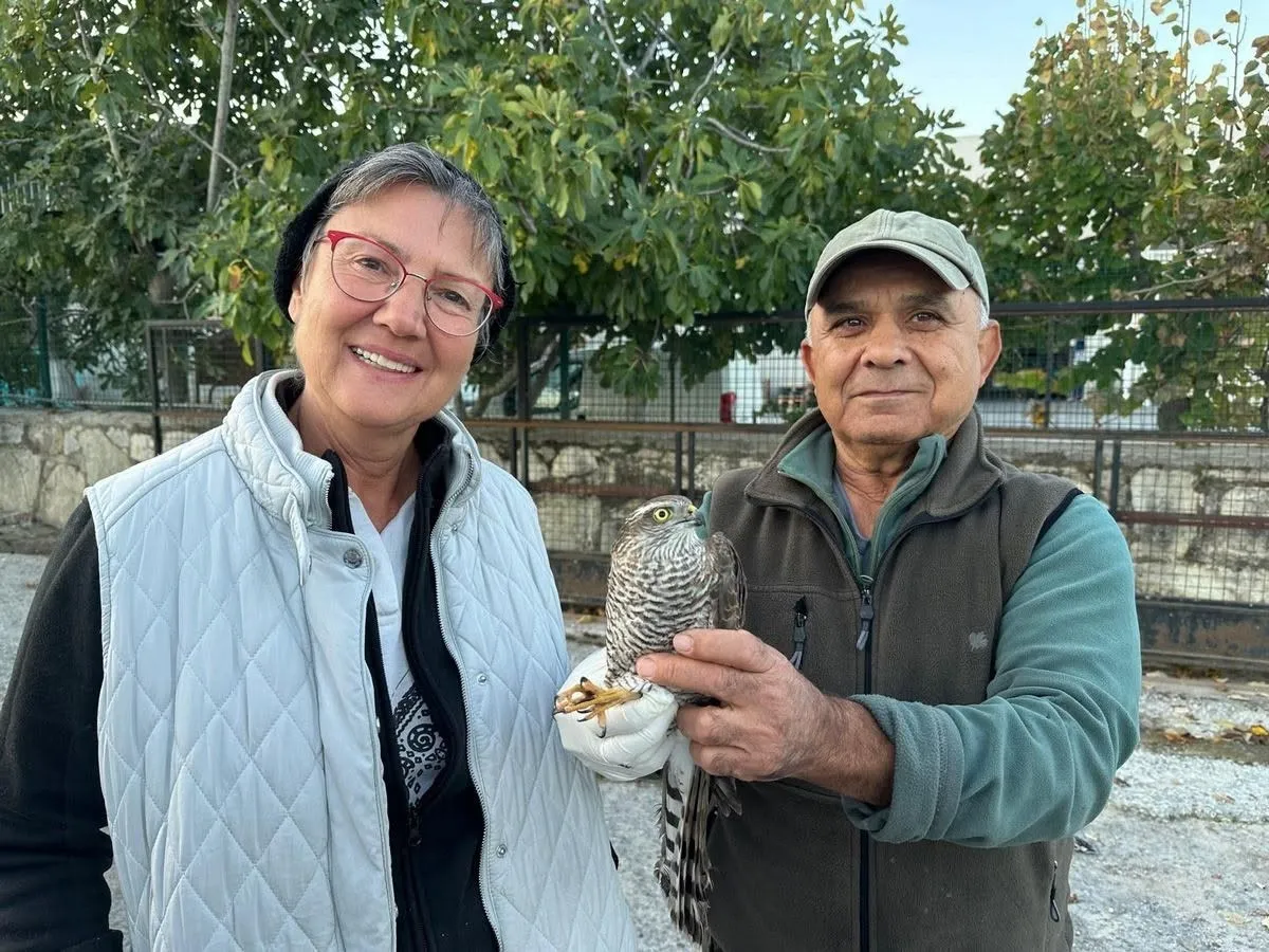 Kuşadası'nda yaban hayatı için seferberlik: İki canlı daha özgürlüğüne kavuştu