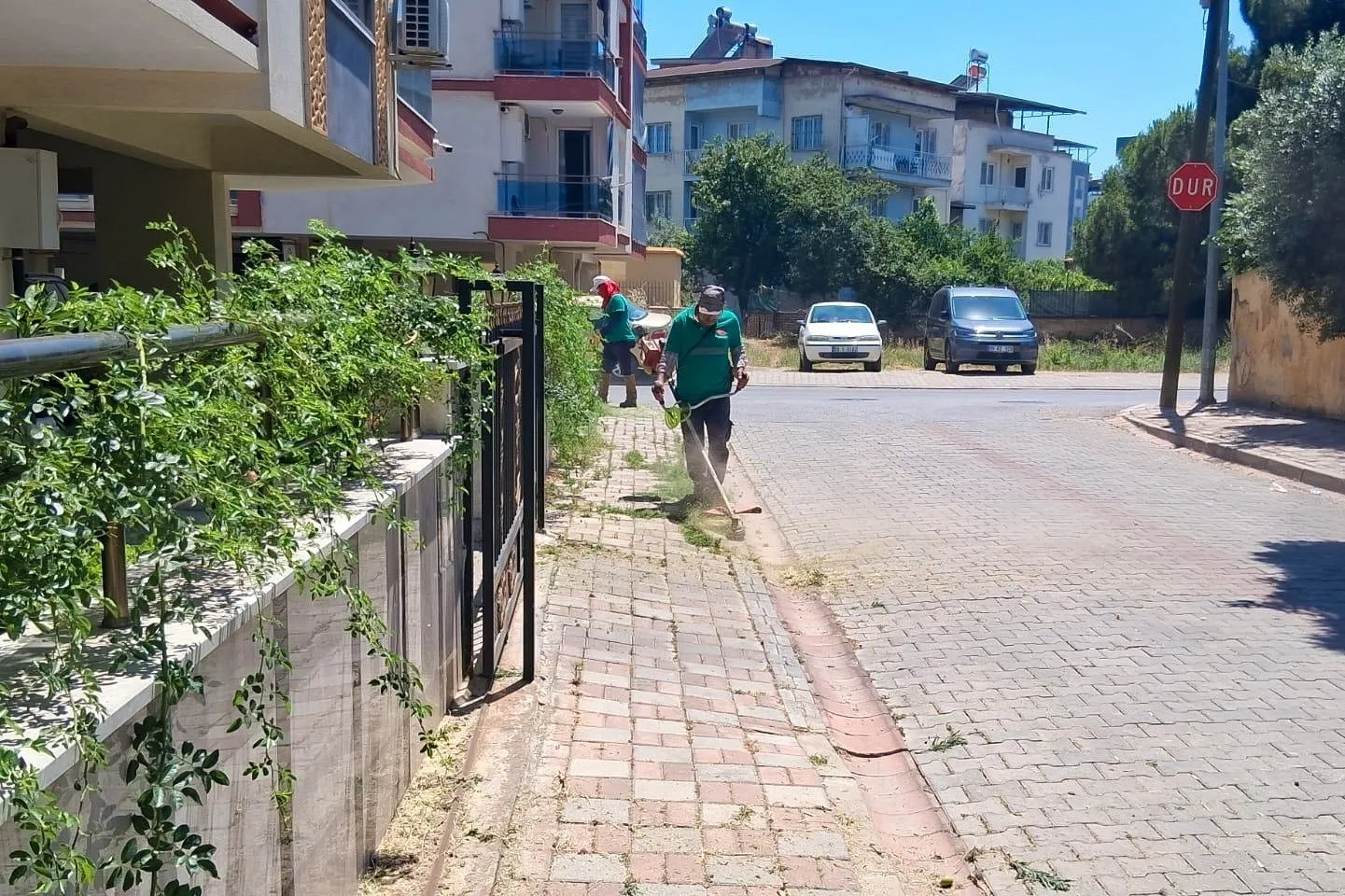 Efeler’de bahar temizliği: Belediye ekipleri sahada mesaiyi artırdı