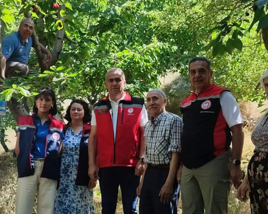 Aydın’ın bereketli topraklarından sofralara: Kiraz hasadında hummalı çalışma