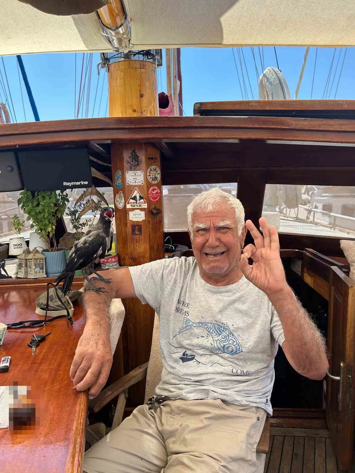 Bodrum'da yürek ısıtan anlar: Denizci ile karganın sıra dışı dostluğu
