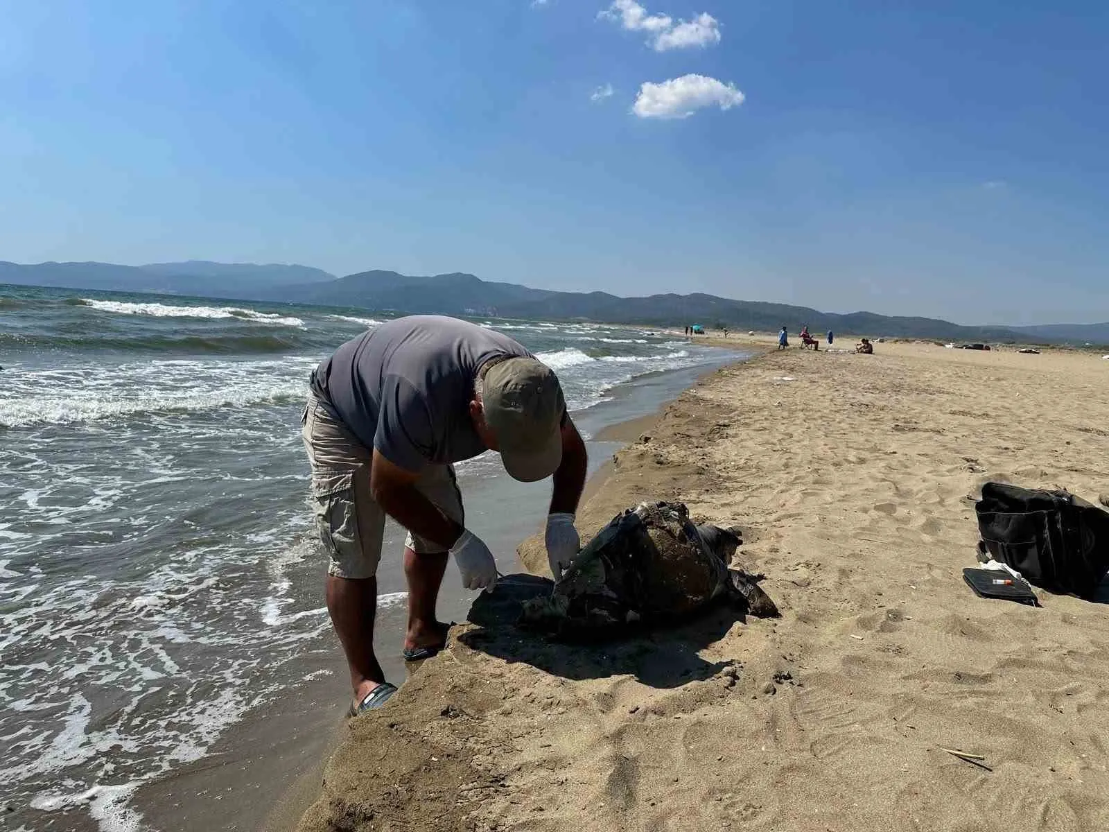 Denizlerde vicdansızlık kol geziyor: Bir caretta caretta daha taş bağlanarak ölüme terk edildi