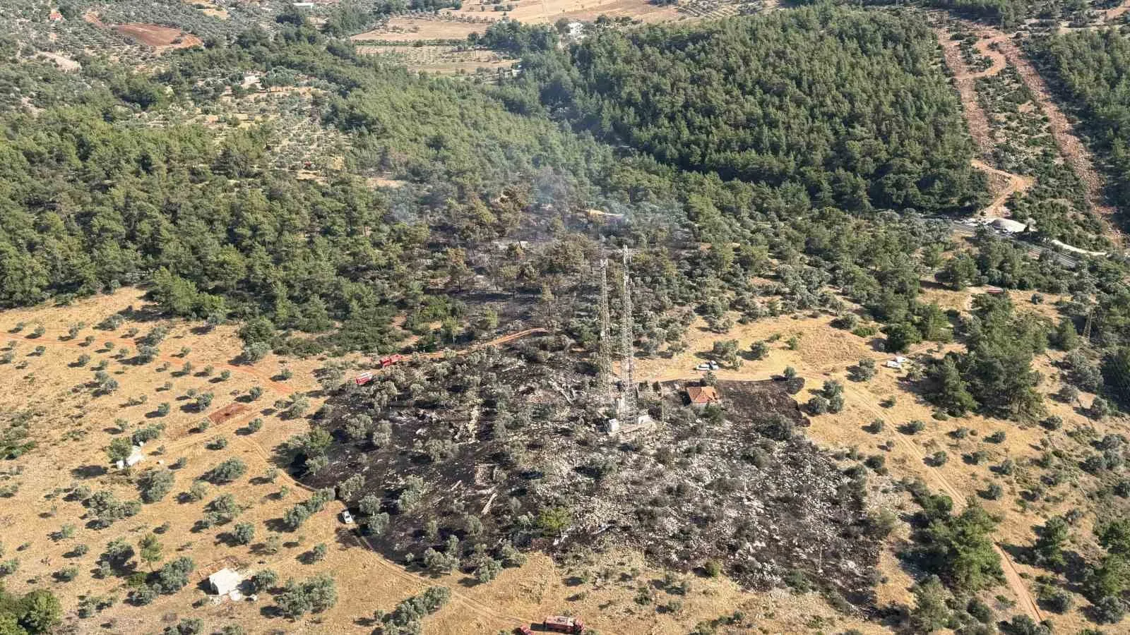 Milas'ta alevler paniğe yol açtı: Ekiplerin zamanla yarışı sonuç verdi