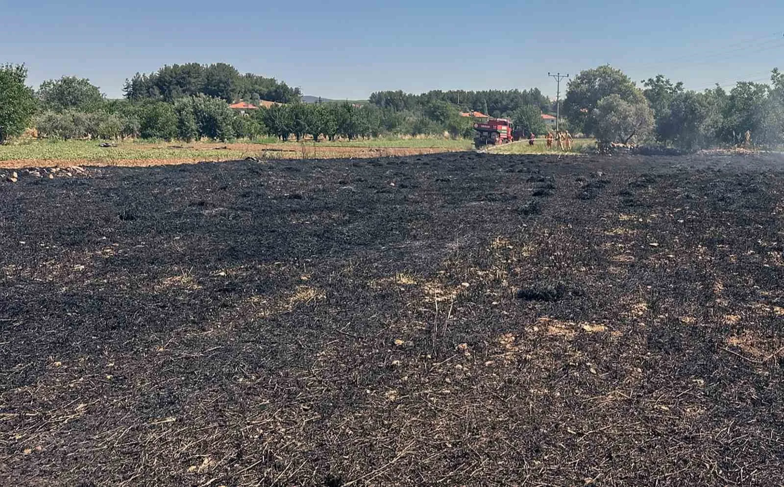 Menteşe ve Ula'da korkutan yangınlar: Ekipler alevlere geçit vermedi