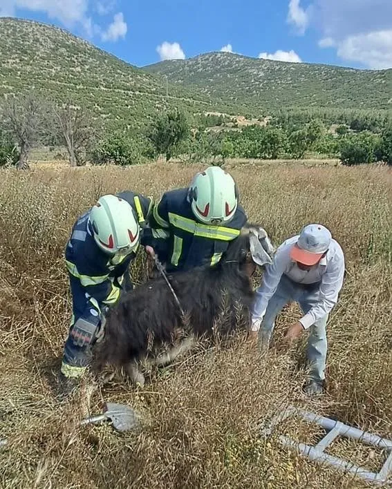 Tavas’ta nefes kesen operasyon: Kuyuya düşen keçiler için seferber oldular