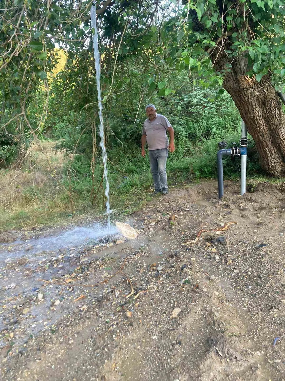 Manisa'da çift yönlü hamle: Hem tarlaya can suyu hem yangına acil müdahale