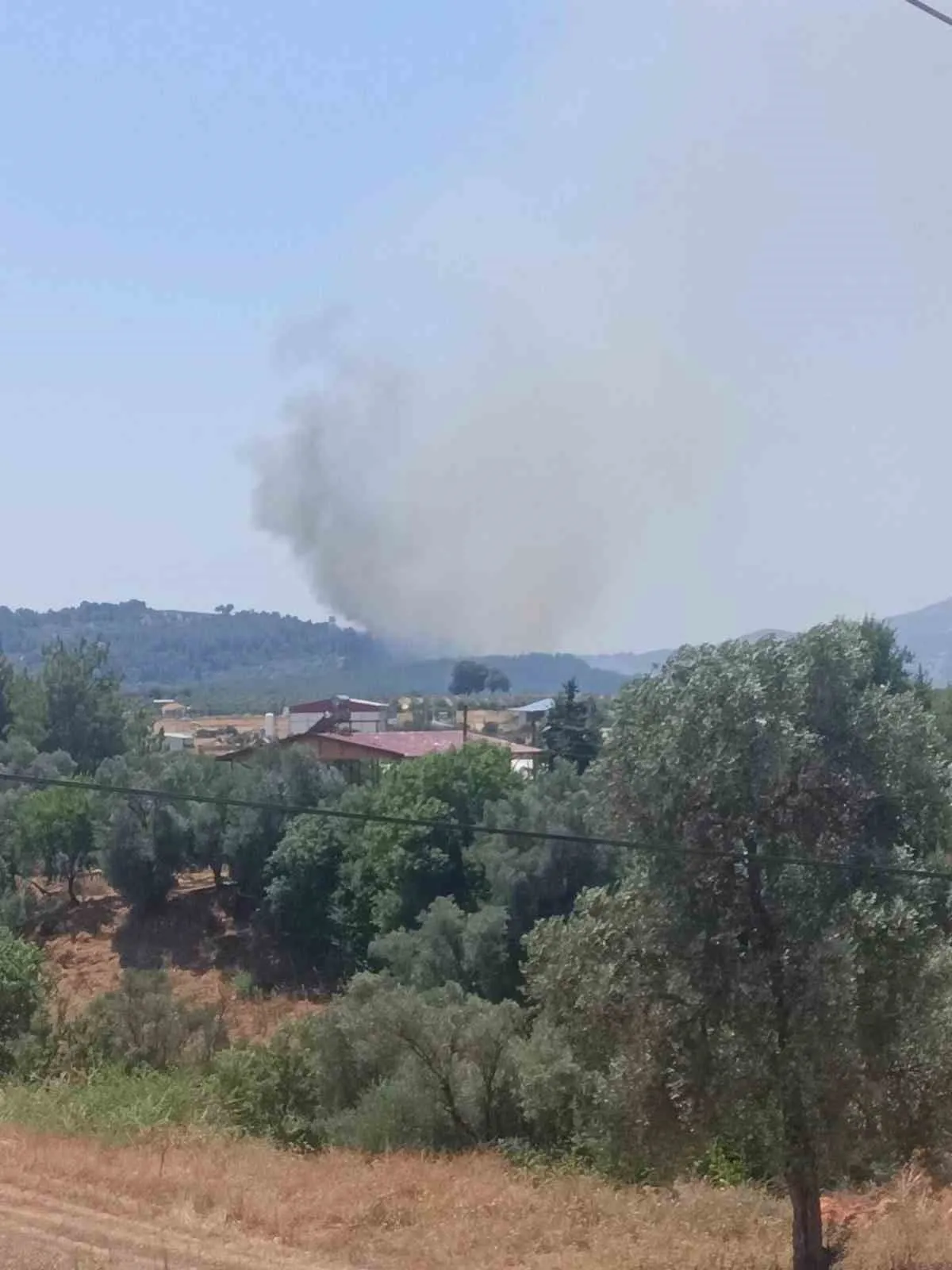 Seydikemer’de orman alarmı: Alevlere karşı dev operasyon