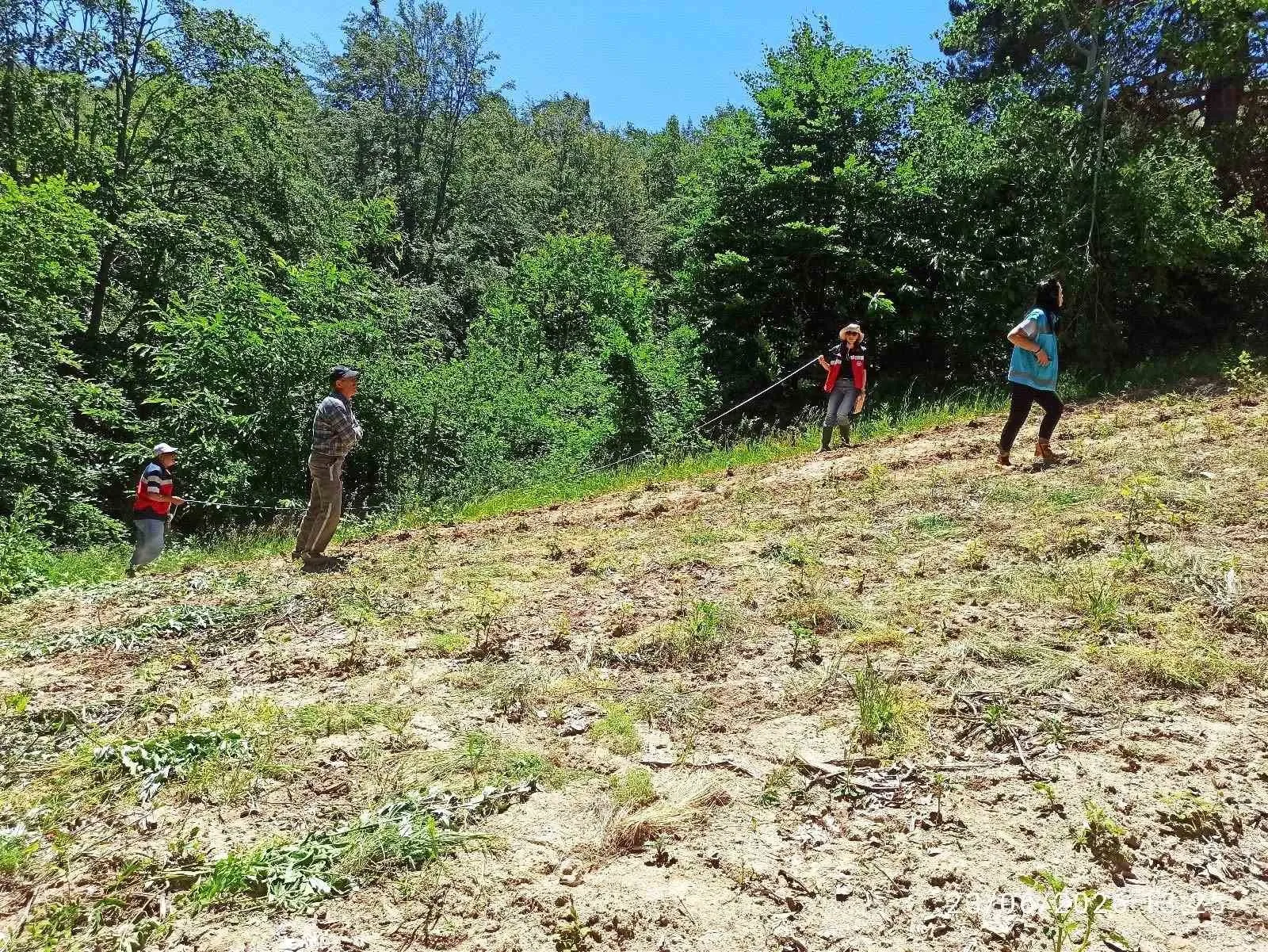 Domaniç'te ahududu seferberliği: Üreticinin emeği teknolojiyle korunacak
