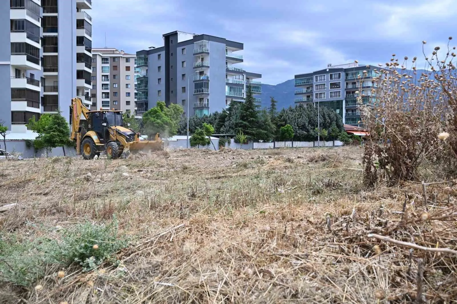 Manisa’da yeşil alanlarda hummalı temizlik: Haşerelere geçit yok