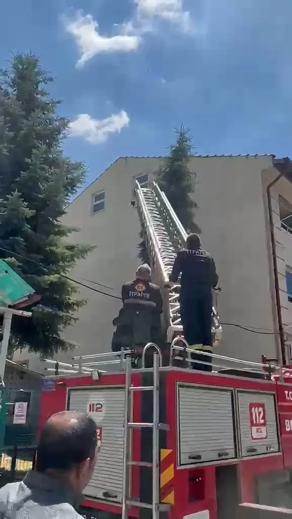 Kütahya'da yürek ısıtan operasyon: İtfaiye ekipleri minik serçenin imdadına yetişti