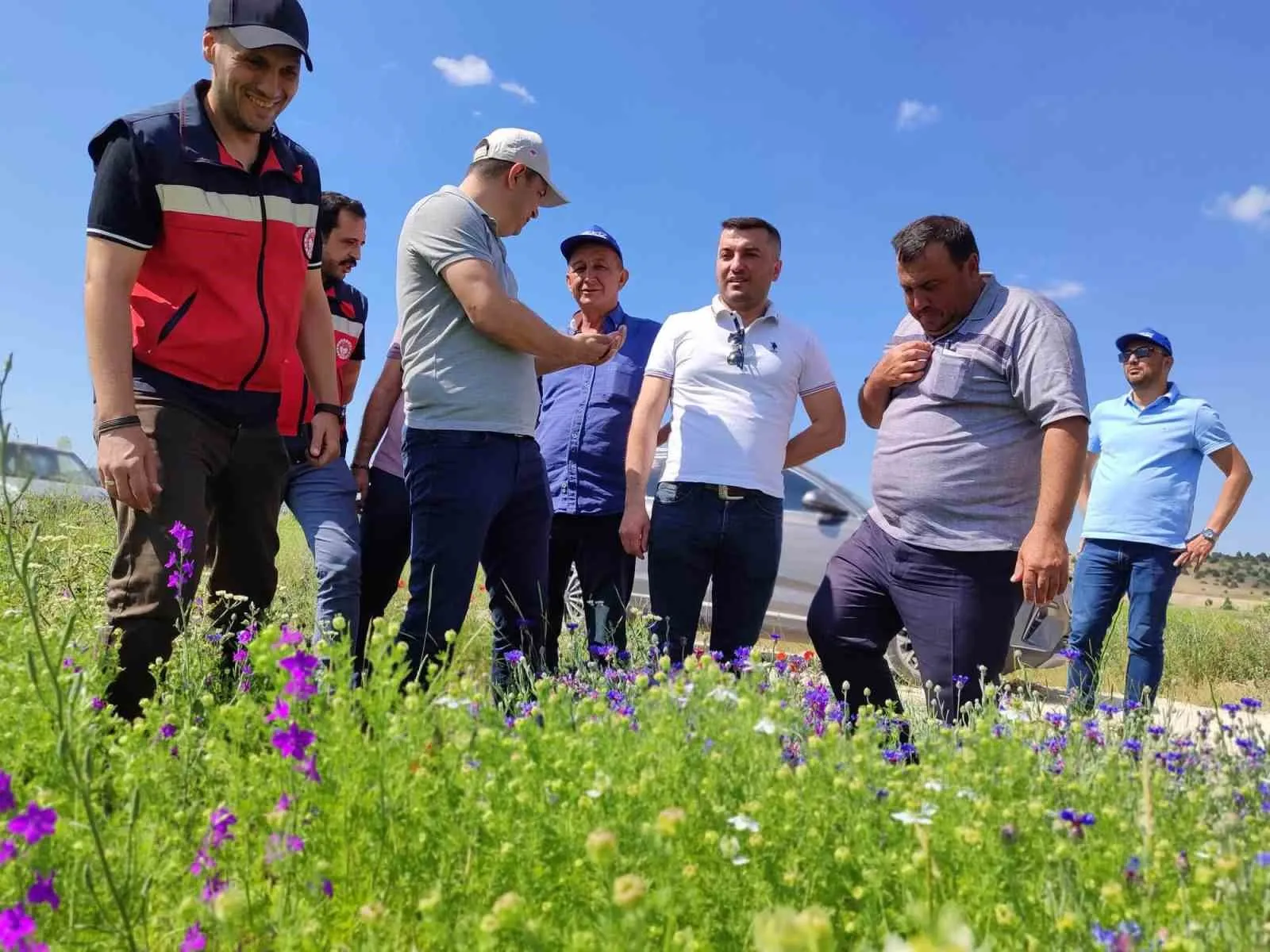 Kütahya toprağında yeni dönem: Çörek otu tarlaları mercek altında