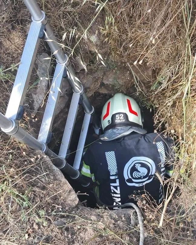 Tavas’ta nefes kesen operasyon: Kuyuya düşen keçiler için seferber oldular