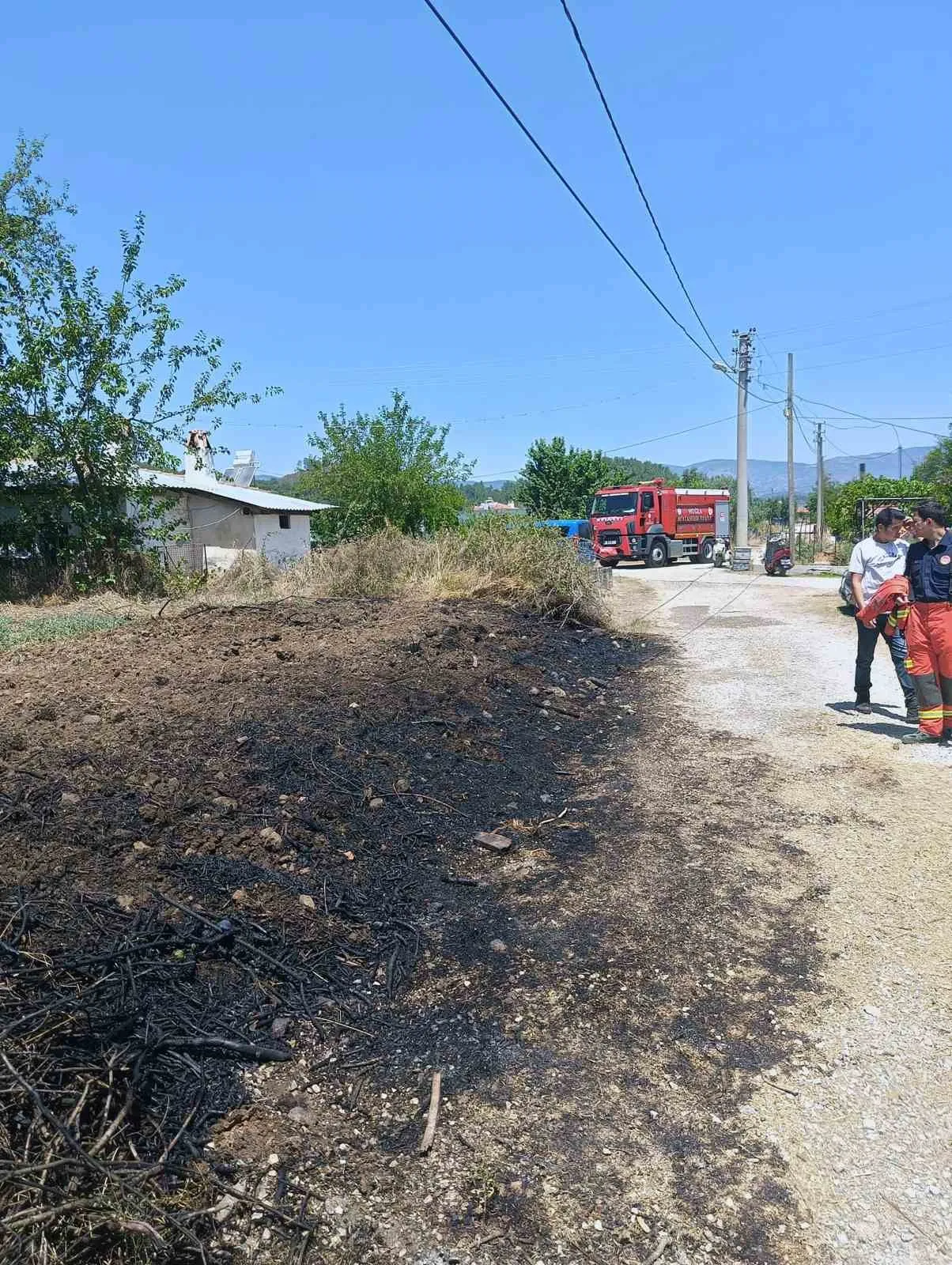 Menteşe ve Ula'da korkutan yangınlar: Ekipler alevlere geçit vermedi