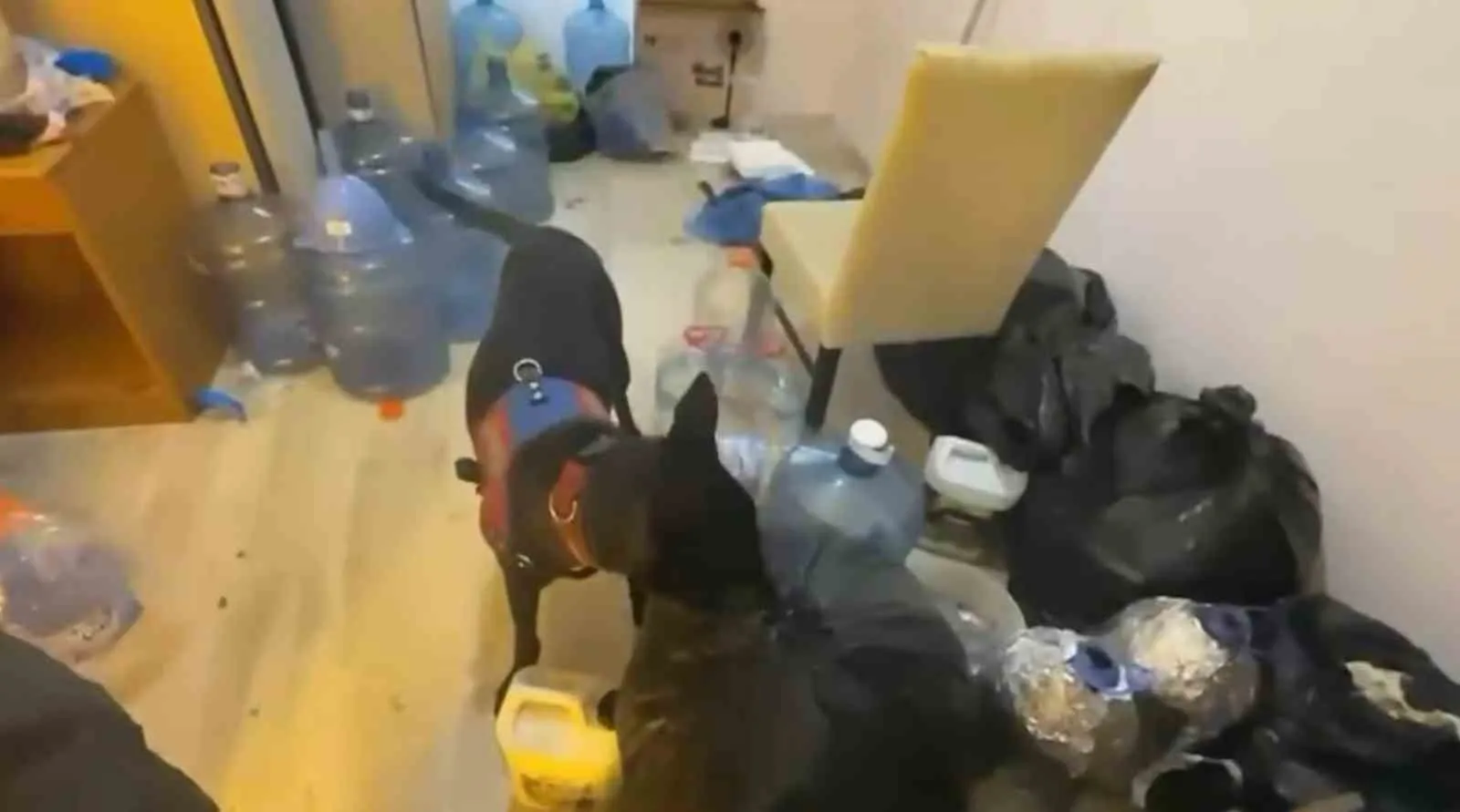 Aydın merkezli zehir operasyonu: Sosyal medya ağlarına dev darbe