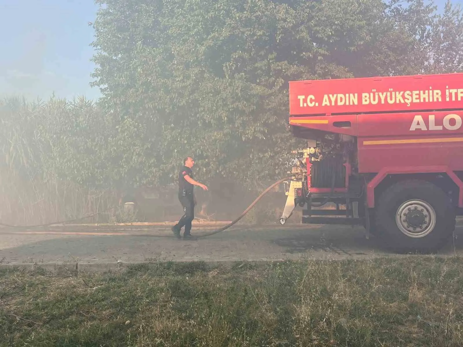 Efeler'de korku dolu anlar: Alevlerin sardığı ağıldaki hayvanları son anda kurtardılar