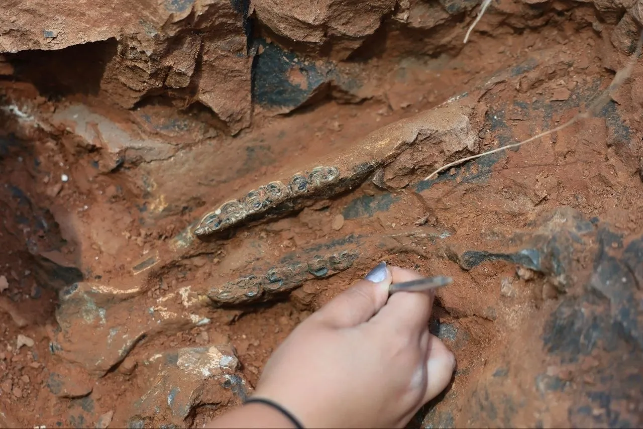 Denizli'nin toprak altındaki hazinesi: 9 milyon yıllık tarih gün yüzüne çıkıyor