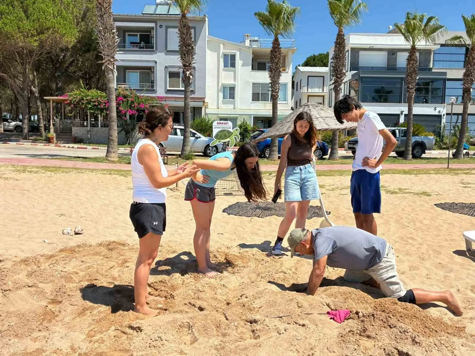Didim sahillerinde Caretta caretta bereketi: İkinci yuva korumaya alındı
