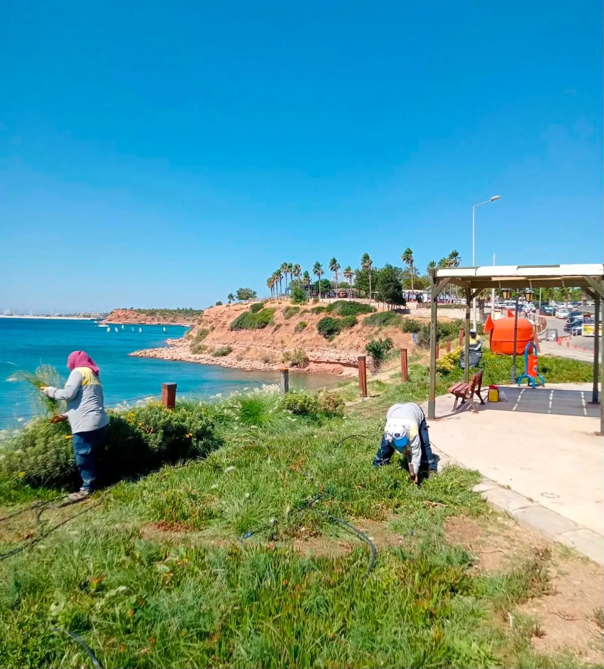 Didim’de yeşil seferberlik: Başkan Gençay’dan daha estetik bir kent vurgusu