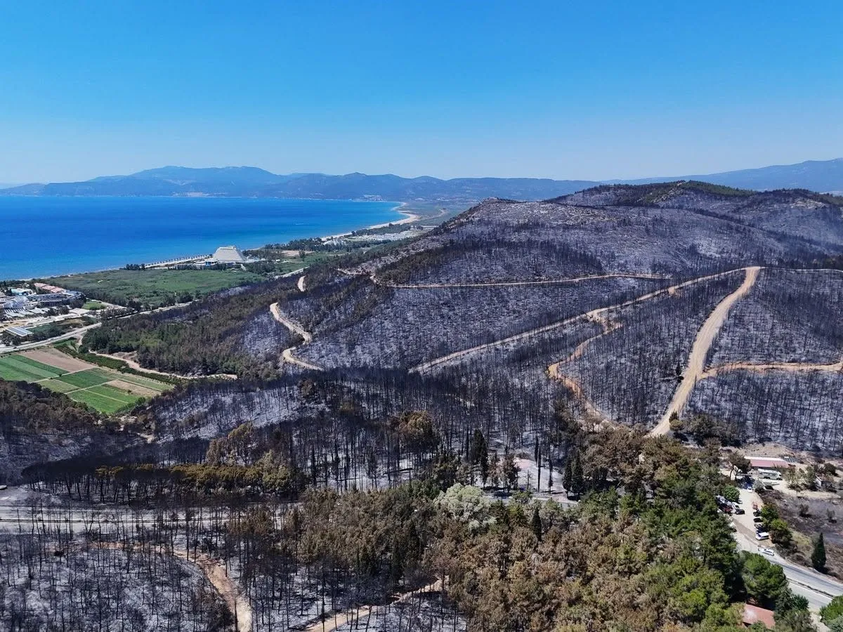 Orman yangınlarıyla mücadelede keçiler yeni kahraman olabilir
