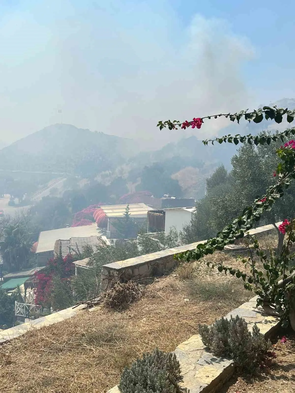 Bodrum Gümüşlük'te korkutan yangın: Ekipler rüzgara karşı zamanla yarıştı
