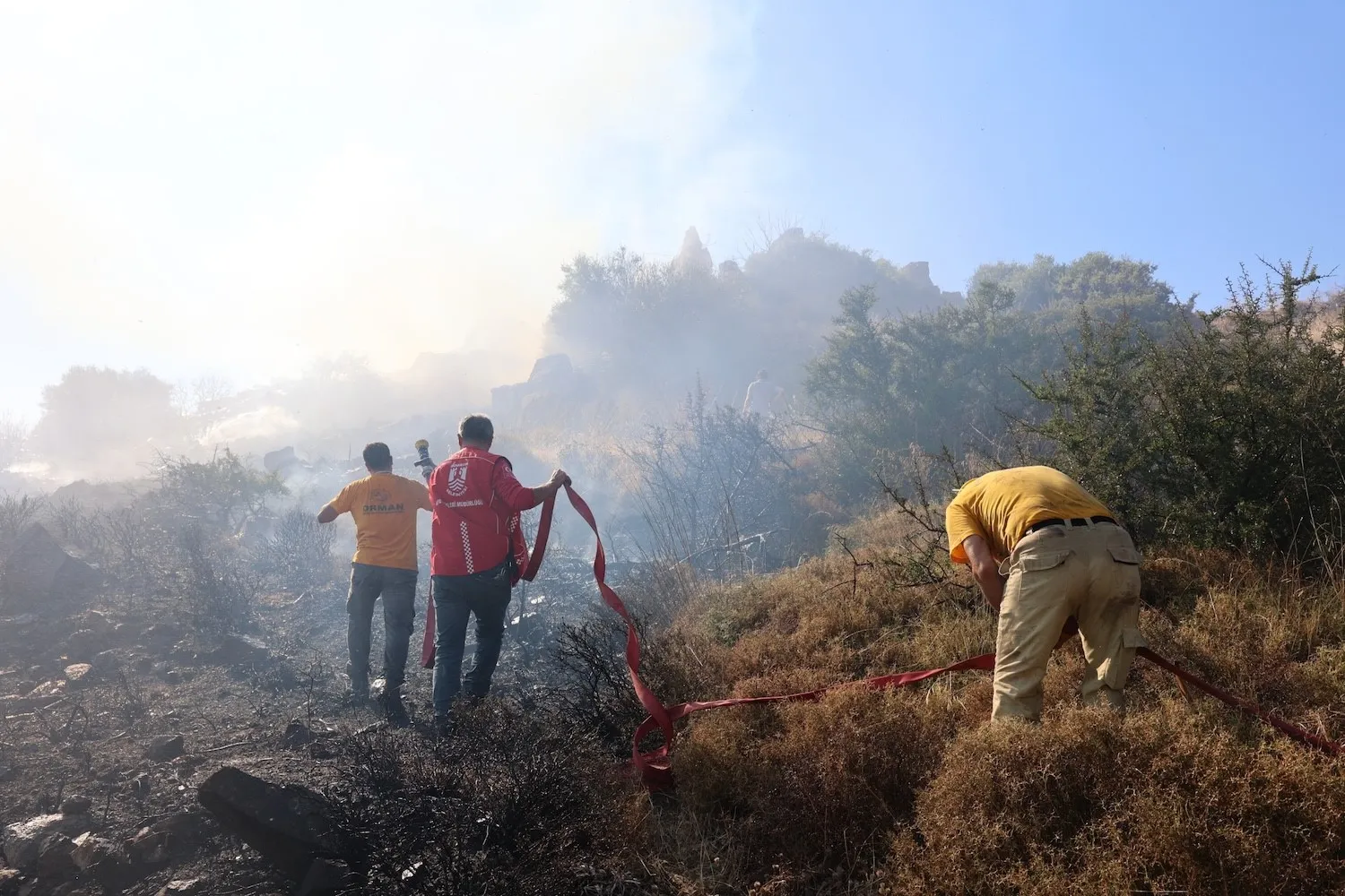 Bodrum'da alevlere karşı seferberlik: 16 yangında kritik müdahale