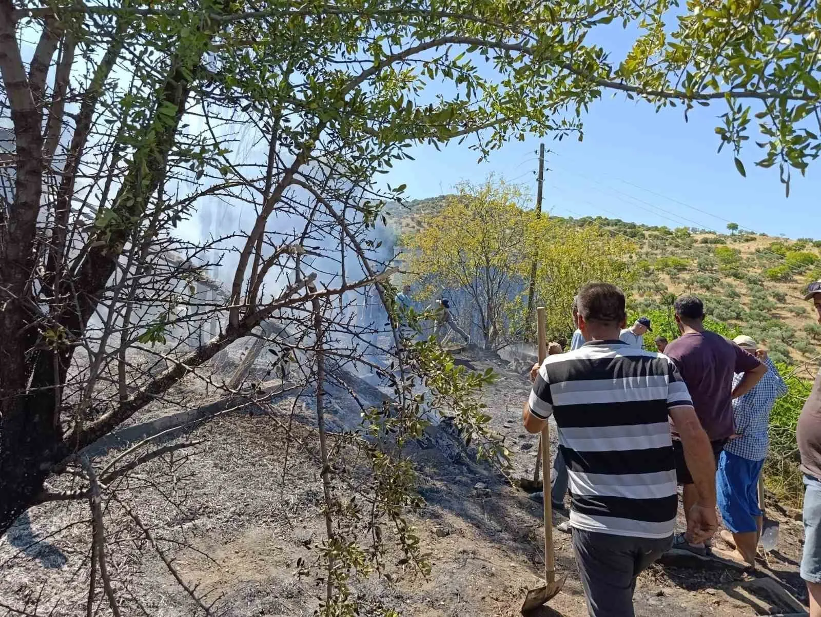 Bozdoğan’da korkutan alevler: Ekipler seferber oldu