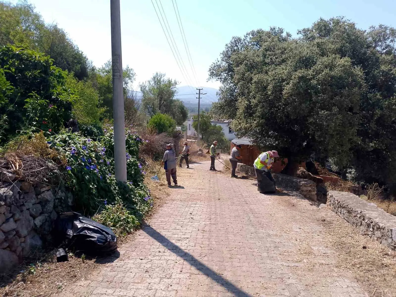 Bodrum’da yangın önlemleri için seferberlik: Binlerce metrekarelik alan temizlendi
