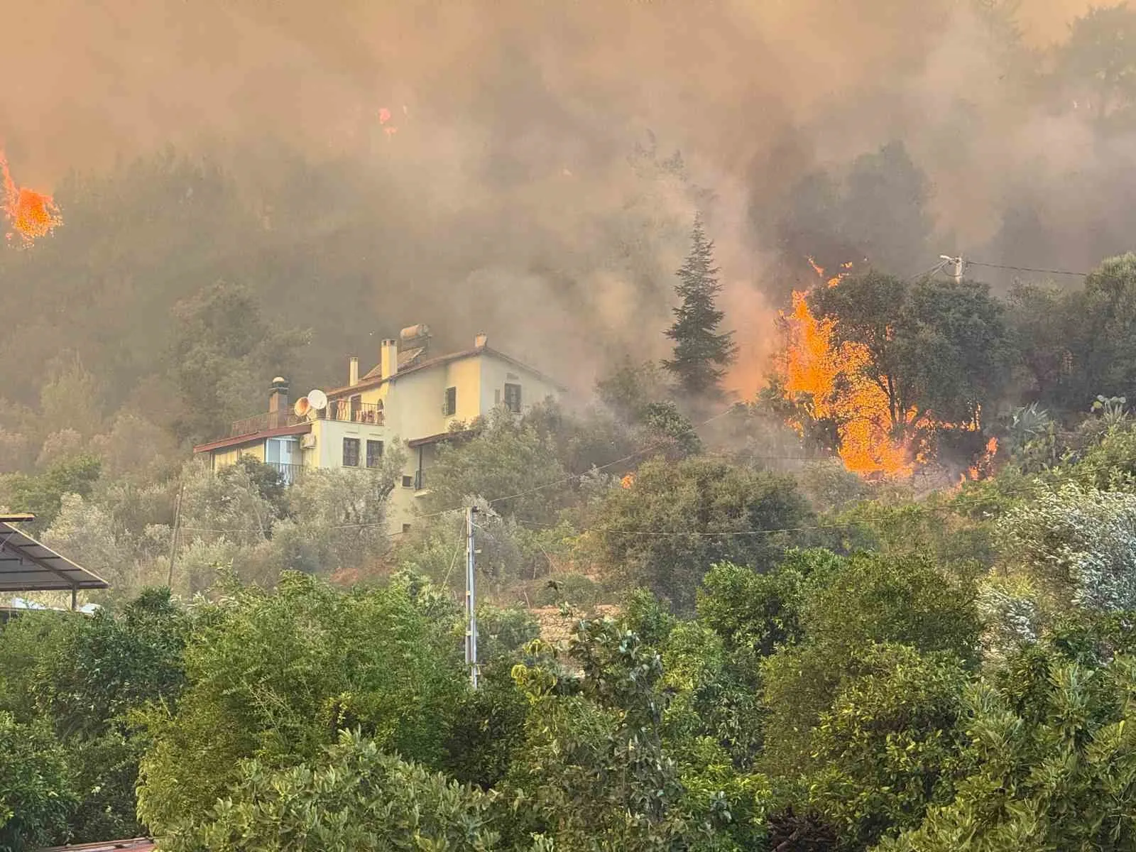 Fethiye’de orman yangınına karşı dev seferberlik: Vali Akbıyık son durumu açıkladı