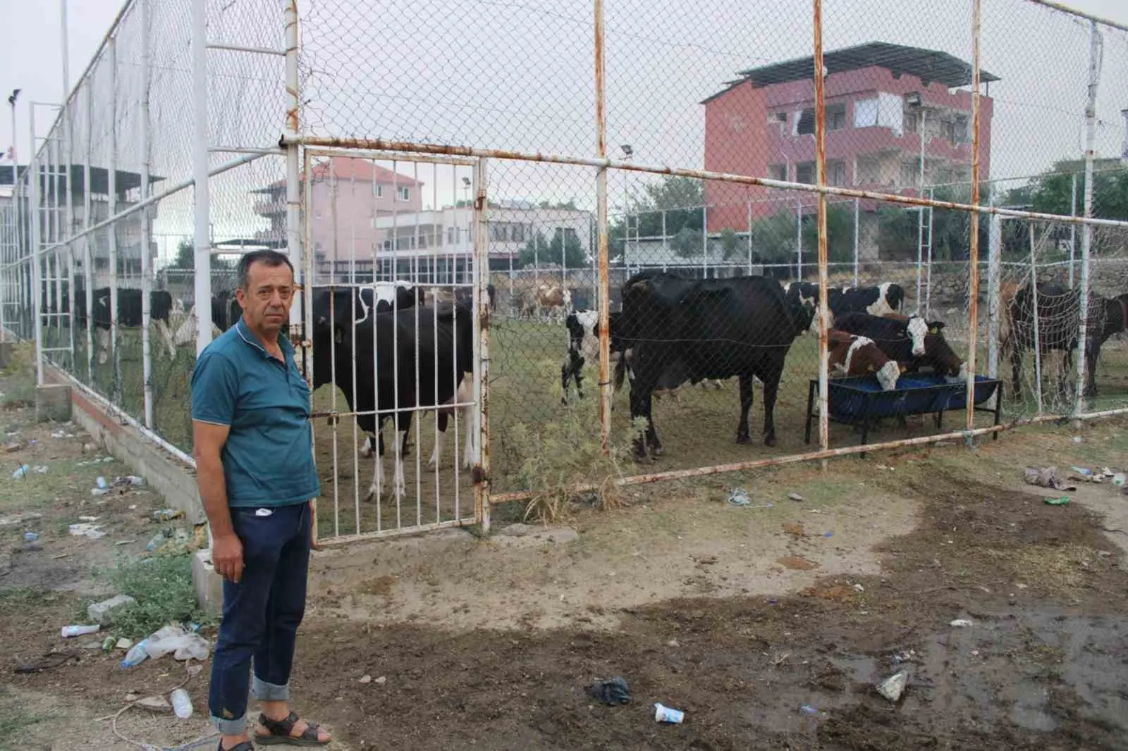 Alevler kapıya dayandı, Mutaflar Mahallesi’nde halı saha hayvan barınağına dönüştü