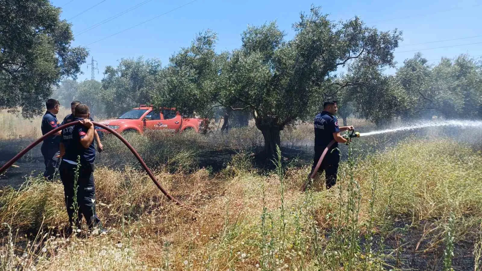 Efeler'de zeytinlikte korkutan yangın: Ot biçerken faciaya davetiye çıkardı