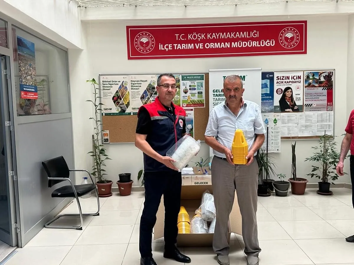 Köşk’te üreticinin yüzünü güldüren destek: Meyve sineğine karşı yarı yarıya hibe