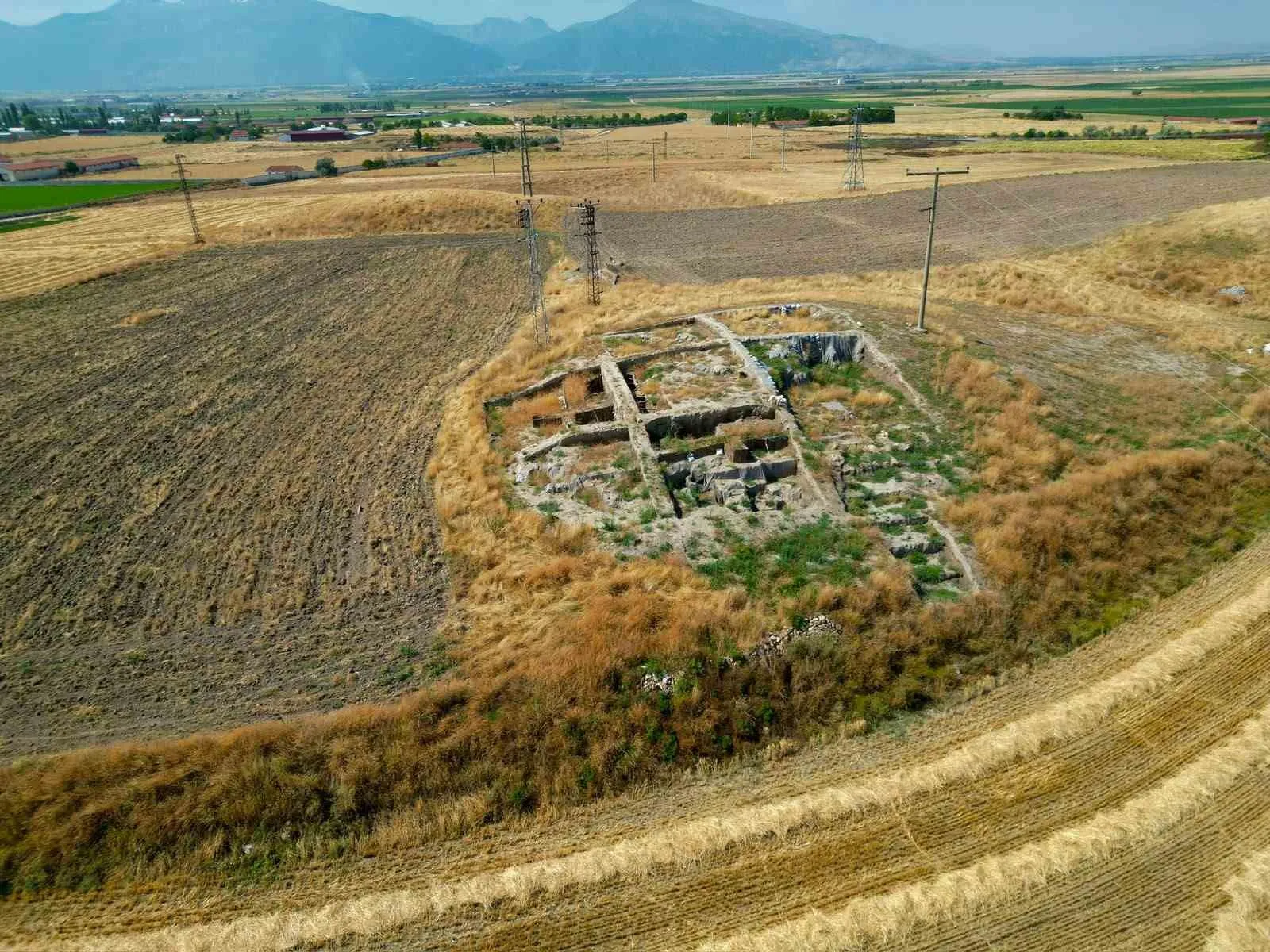 Tarihin kalbi sessizliğe gömüldü: Puruşhanda umudu yerini otlara ve sokak hayvanlarına bıraktı