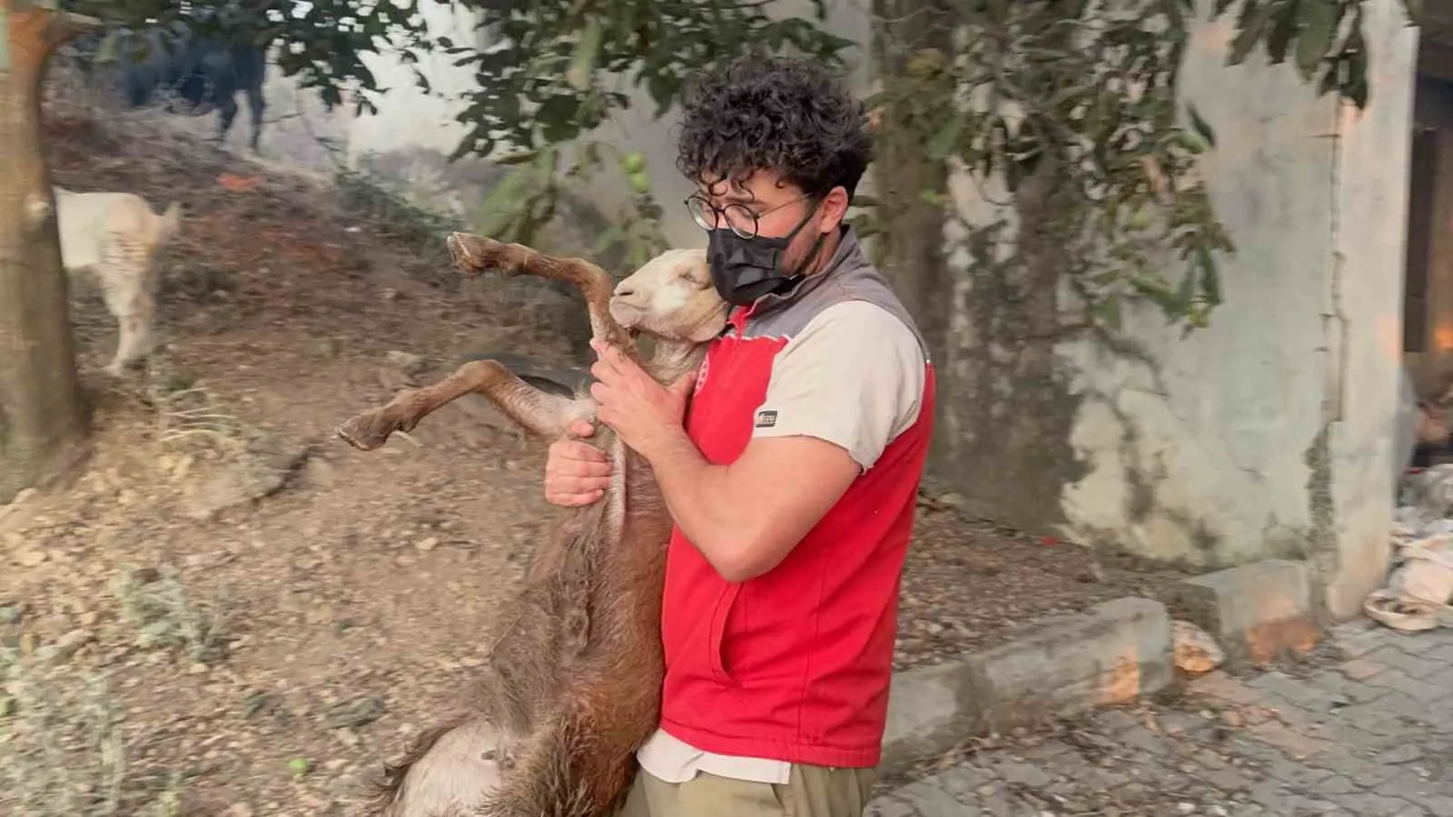 Seydikemer’de alevler hayvanları tehdit etti: Ekipler seferber oldu