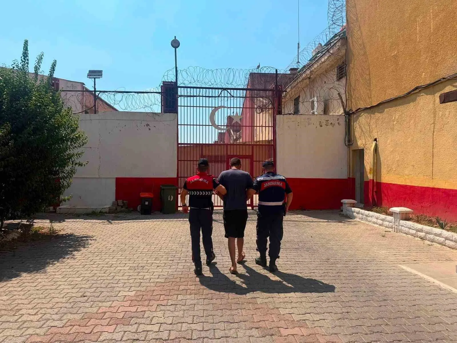 Koçarlı'da koyun hırsızlığına jandarma darbesi: 8 hayvan sahibine kavuştu
