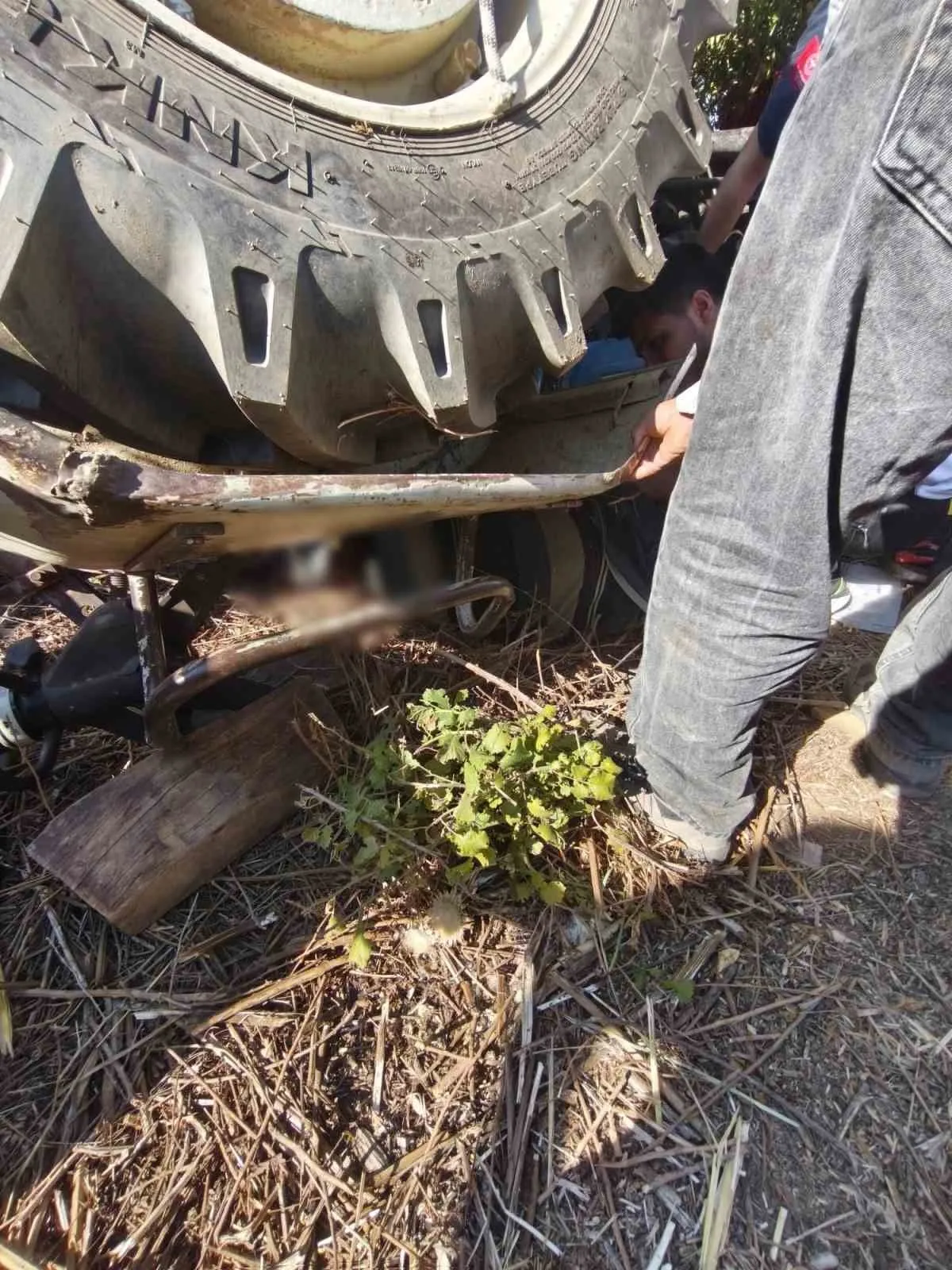 Aydın'da korku dolu anlar: Devrilen traktörün altında kalan sürücü için zamanla yarıştılar