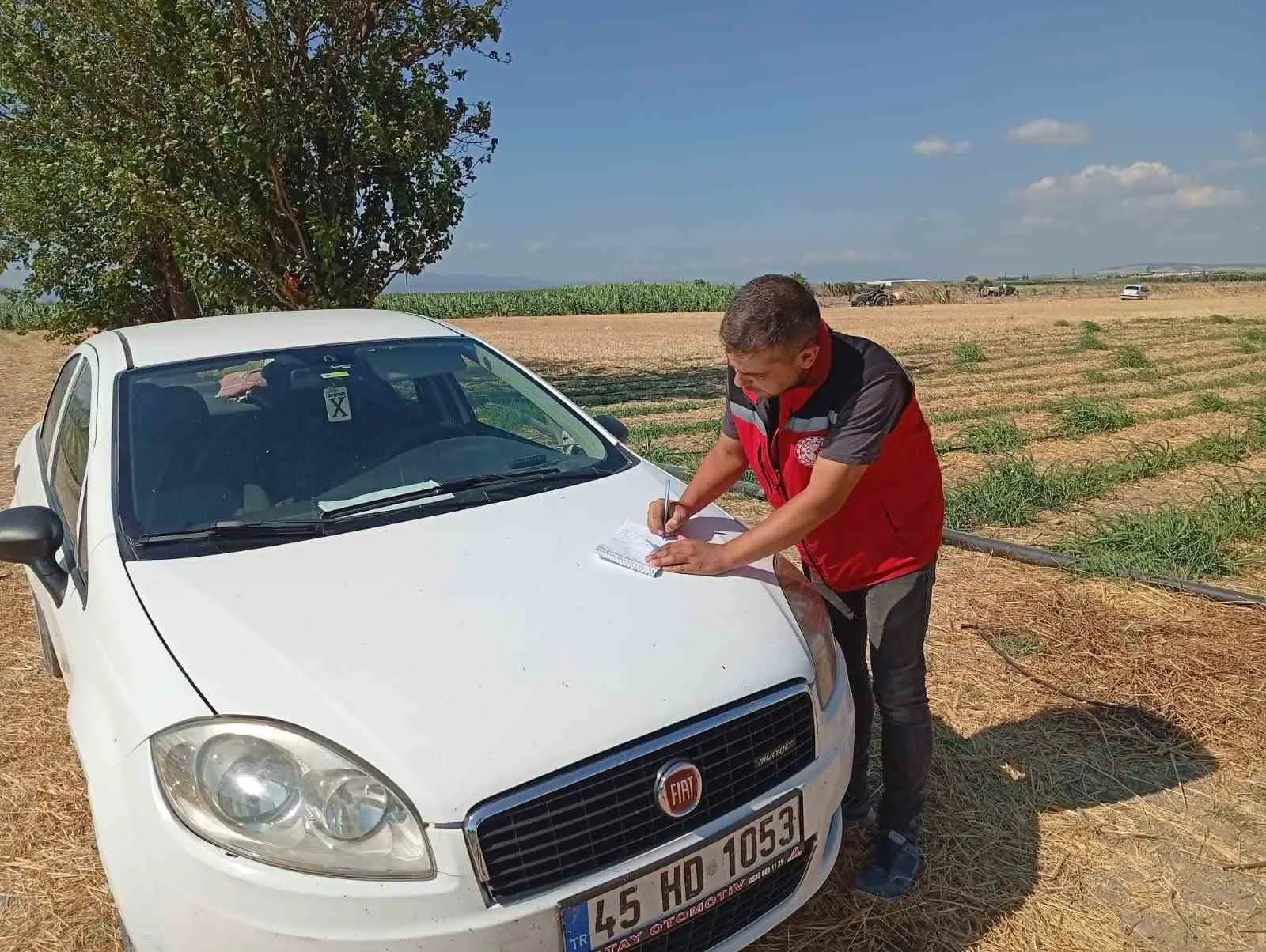 Akhisar’da tarımsal üretimde kalite nöbeti: Uzmanlar sahada