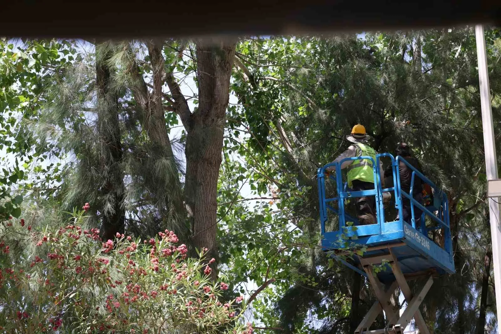 Efeler’in nefes alan noktası yenilendi: Gençlik Parkı’nda hummalı çalışma