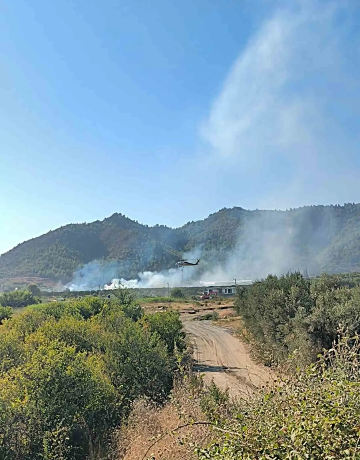 Dalaman’da alevler korkuttu: Ekiplerin hızlı müdahalesi faciayı önledi