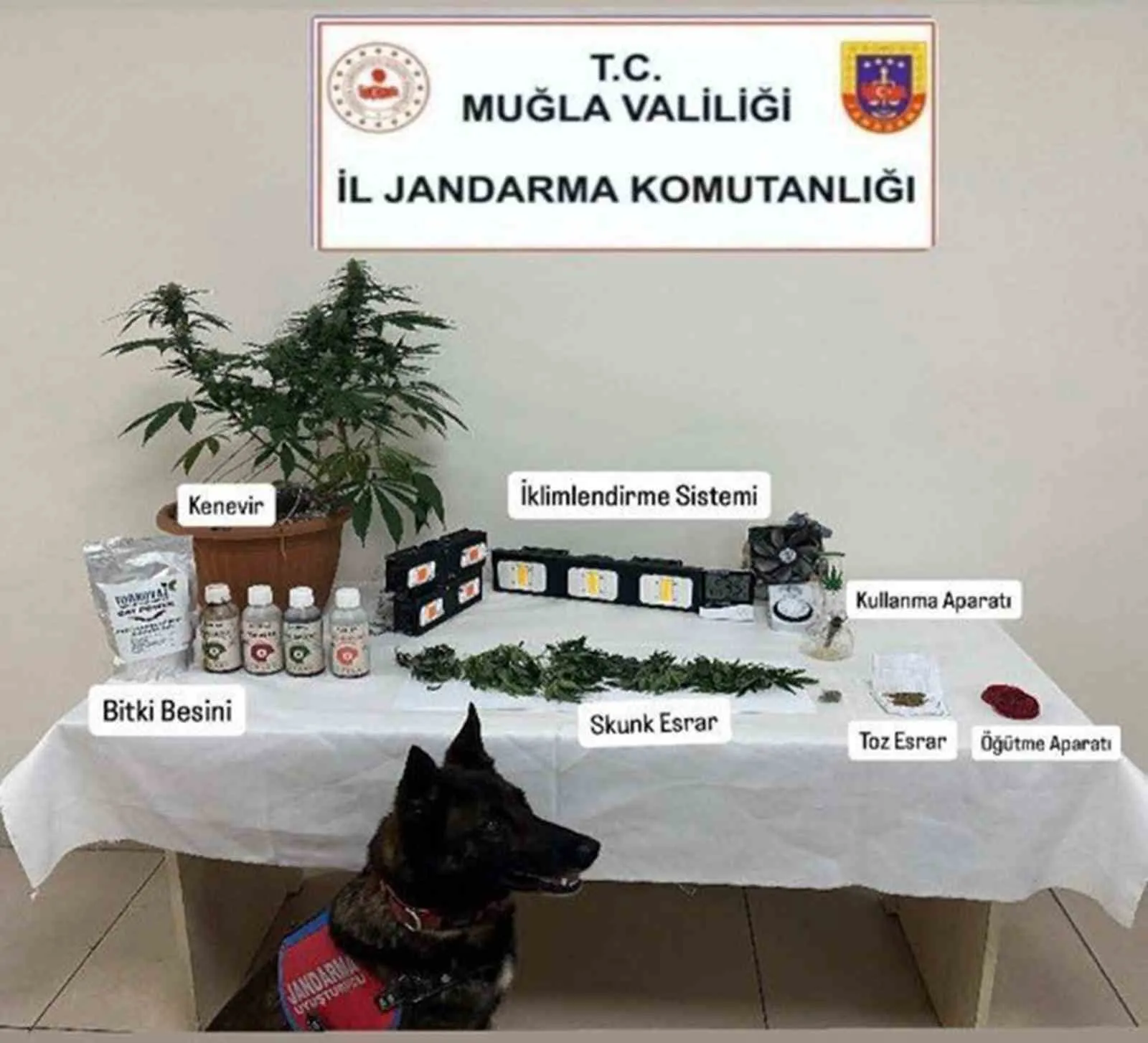 Muğla’da zehir tacirlerine ve kaçakçılara jandarma darbesi
